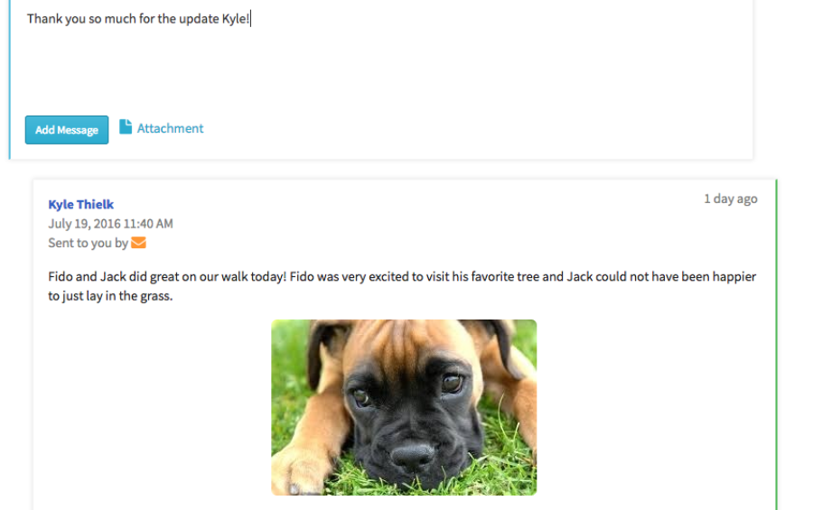 Dog walker/pet sitter/dog/cat/woofgangwalkers/Dog walking/pet sitting/dog training Dog walker/pet sitter/dog/cat/woofgangwalkers/Dog walking/pet sitting/dog training