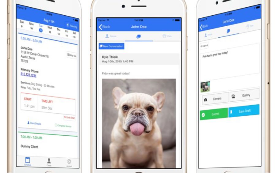 Dog walker/pet sitter/dog/cat/woofgangwalkers/Dog walking/pet sitting/dog training Dog walker/pet sitter/dog/cat/woofgangwalkers/Dog walking/pet sitting/dog training
